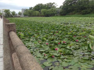 ツアー最終日①