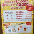 選べるPayプレゼント